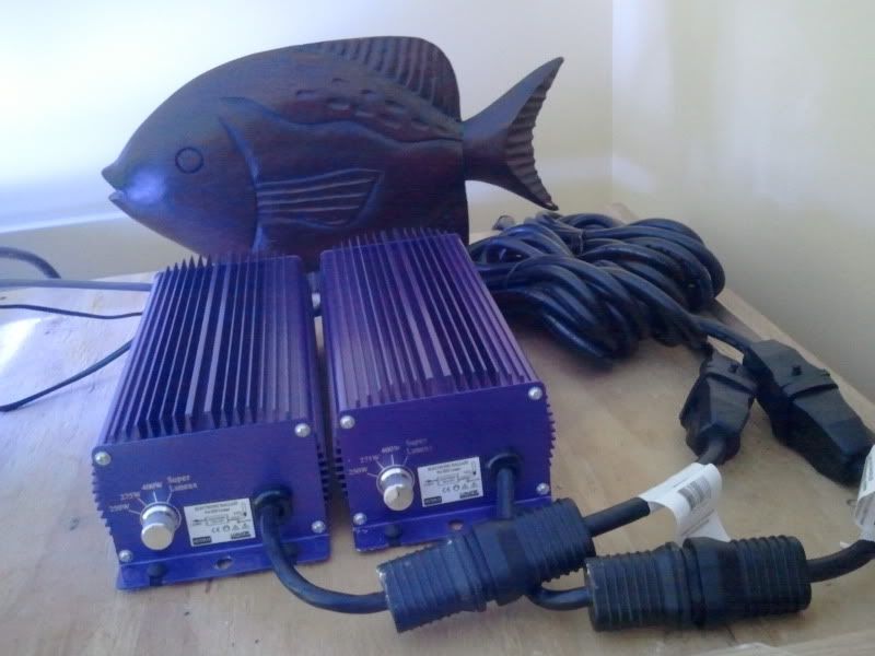 2011-05-16125806.jpg