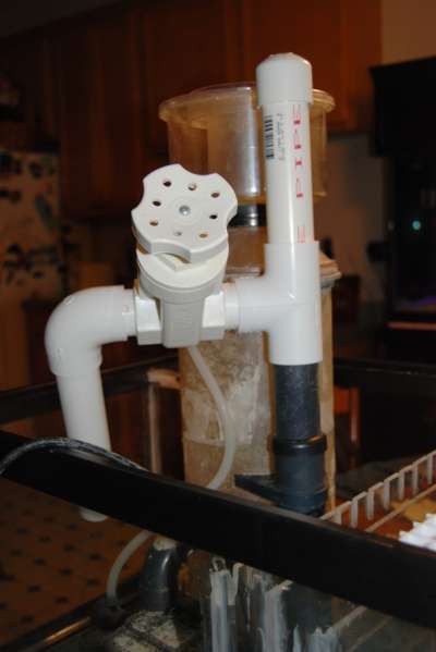 20080126_New_30_gal_sump_010.jpg