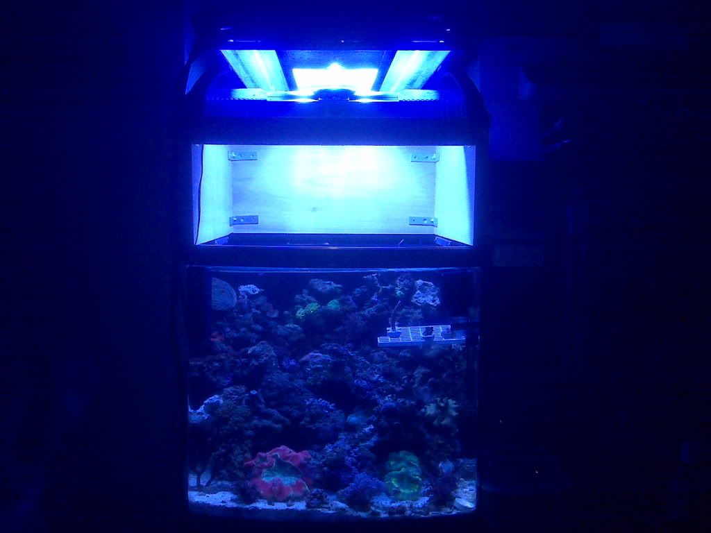 IMG00270.jpg