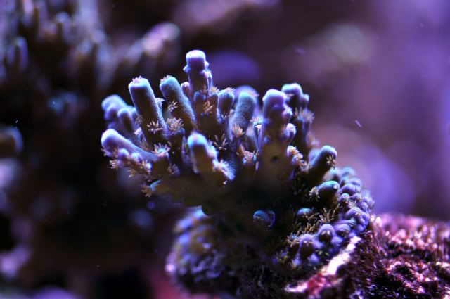 DSC_0606_edited.jpg