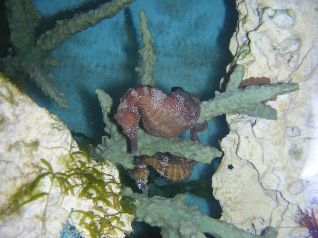 DSCN1362.jpg