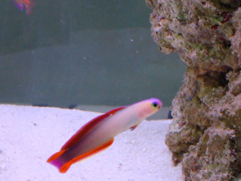 DSC00144.jpg