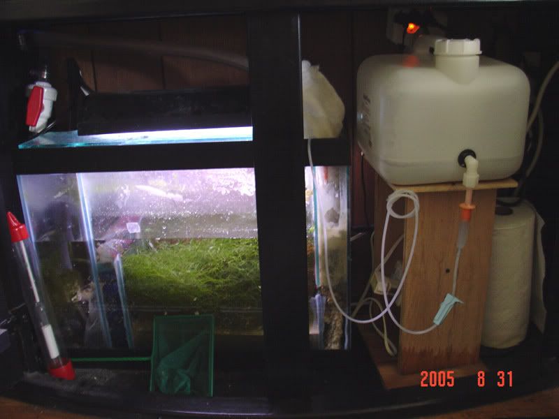 Sump.jpg