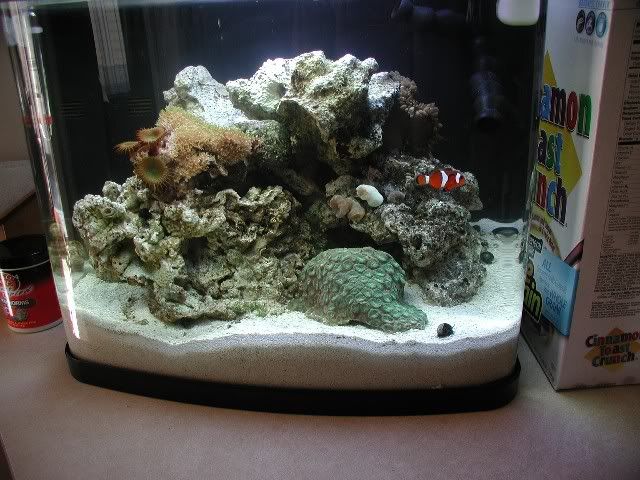 640x4802.jpg