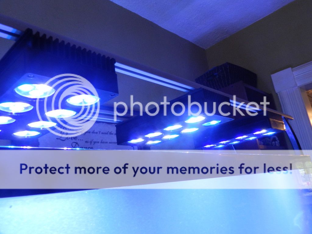 DSCN8456.jpg