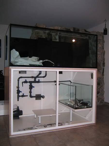 image6.jpg
