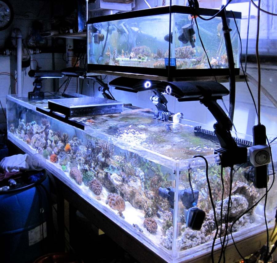 system12-29-09.jpg