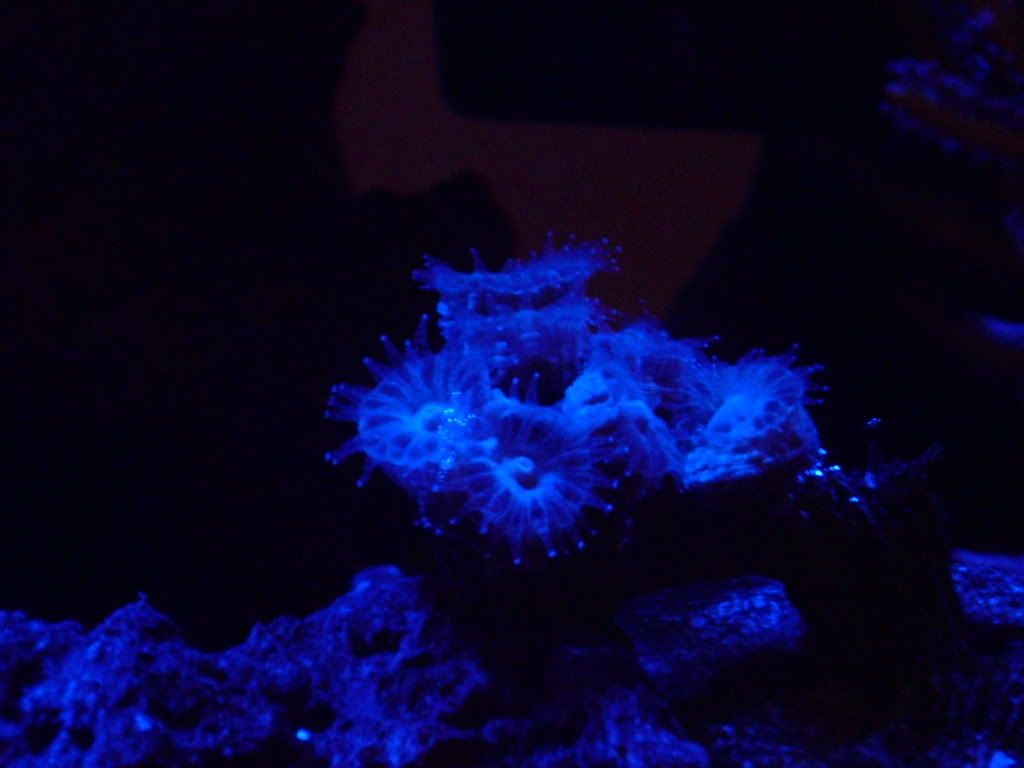 DSCN1340.jpg
