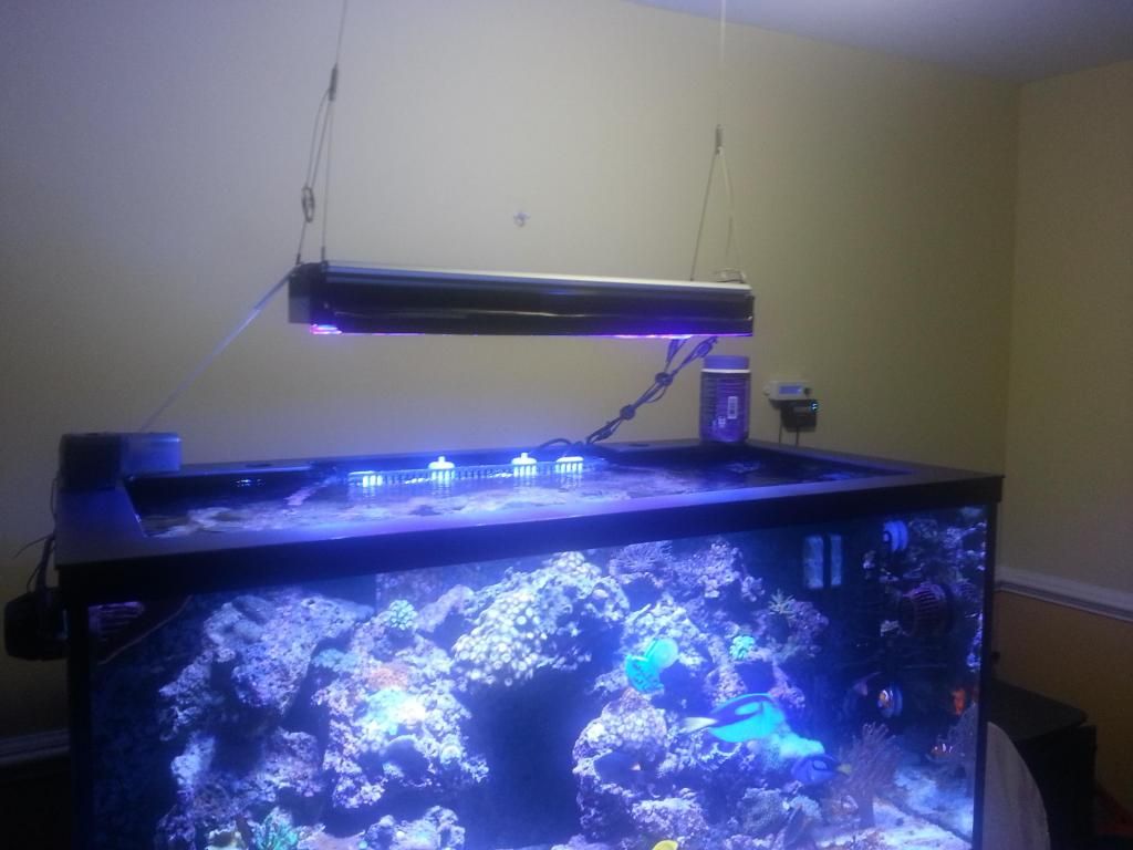 20121026_173316.jpg