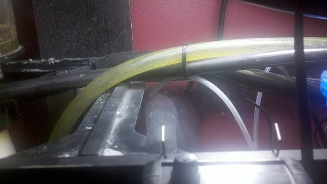 2012-03-24_11-51-32_141.jpg