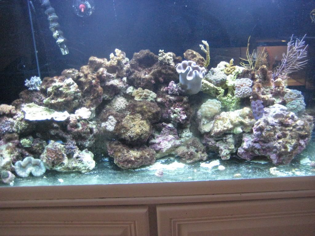 046-1.jpg