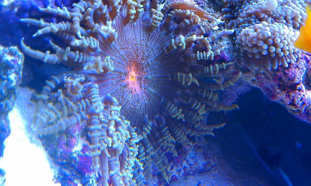 IMAG0031-1.jpg