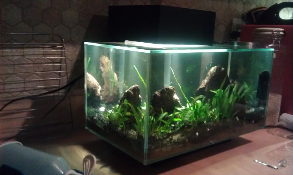IMAG0805.jpg