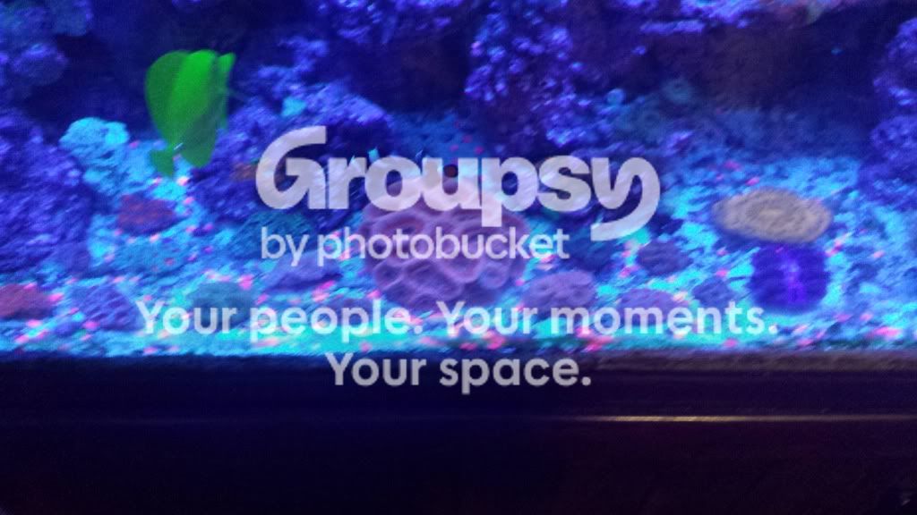 20130914_171202.jpg