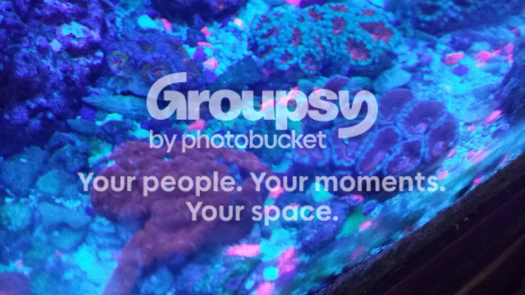 20130914_170947.jpg