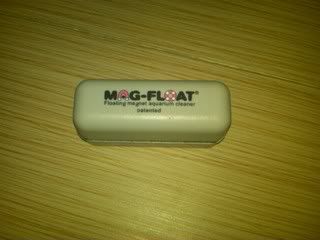 IMG-20110903-00113.jpg