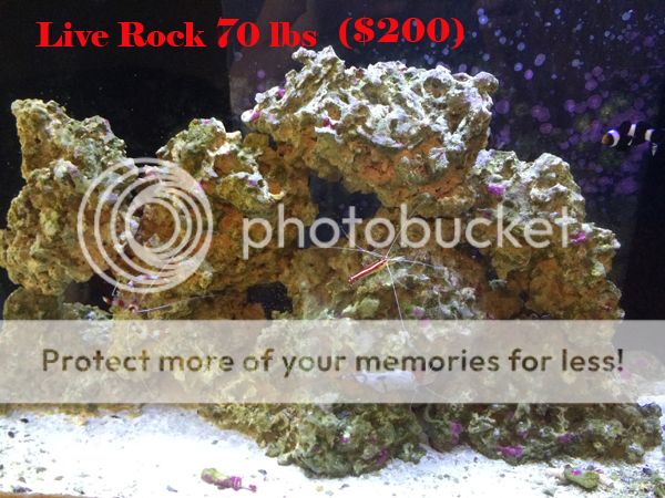LiveRock70lbs.jpg