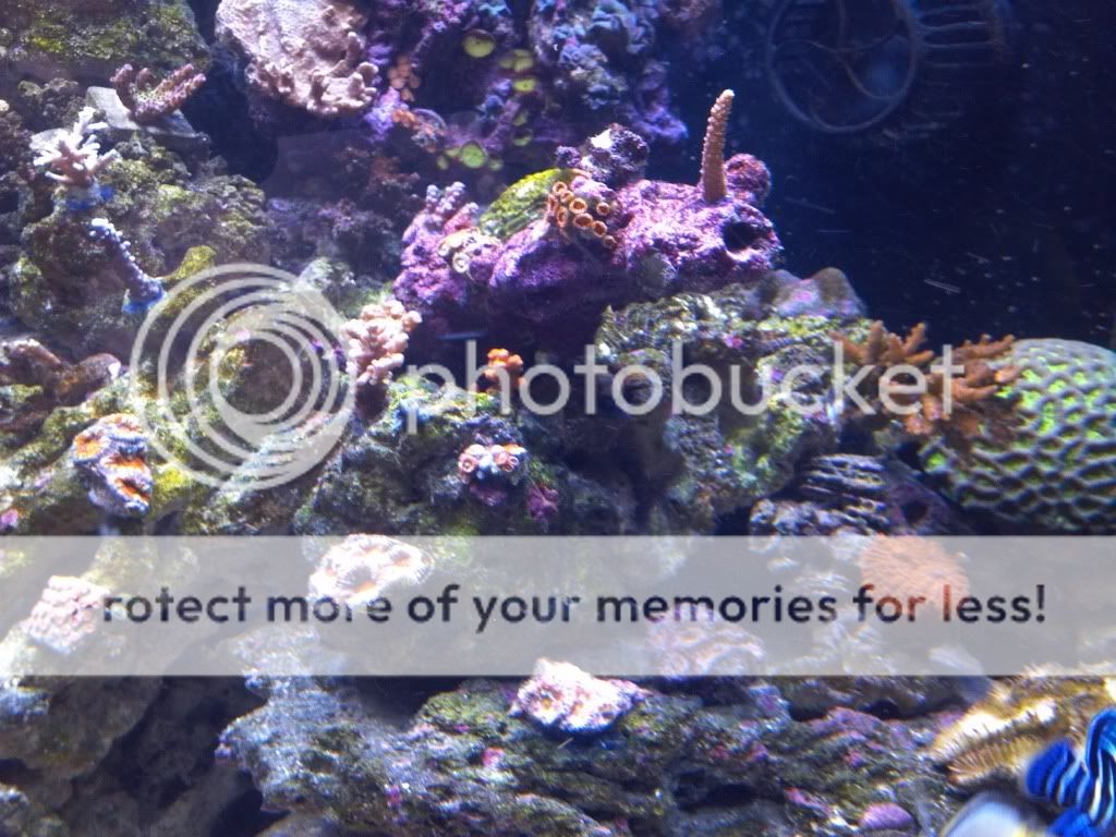 2011-12-07_13-42-01_324.jpg