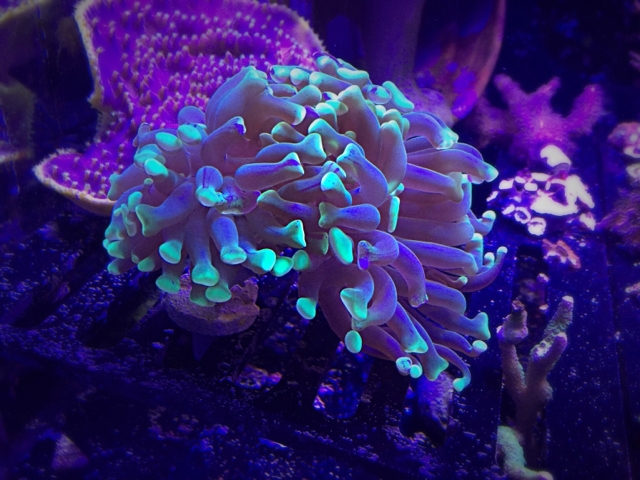 5d0ab56852969273399db6120169bc26.jpg