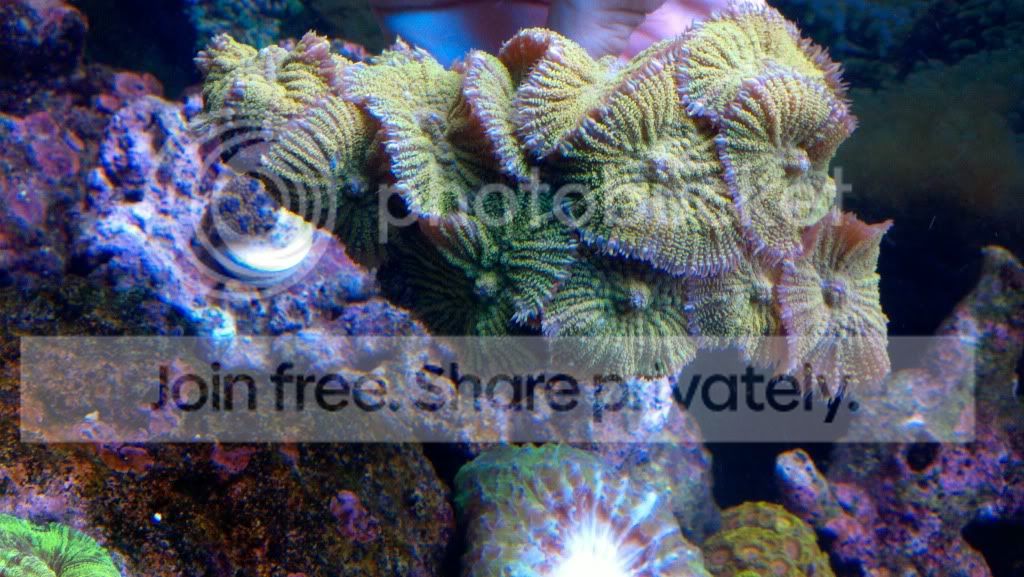 2011-08-12_21-14-40_42.jpg