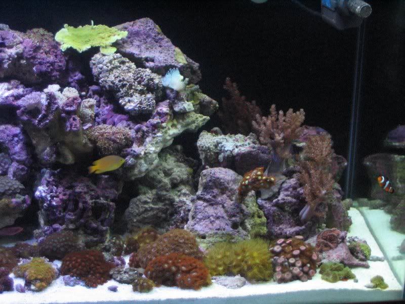 65g_rightside.jpg