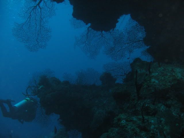 GrandCayman2010143.jpg