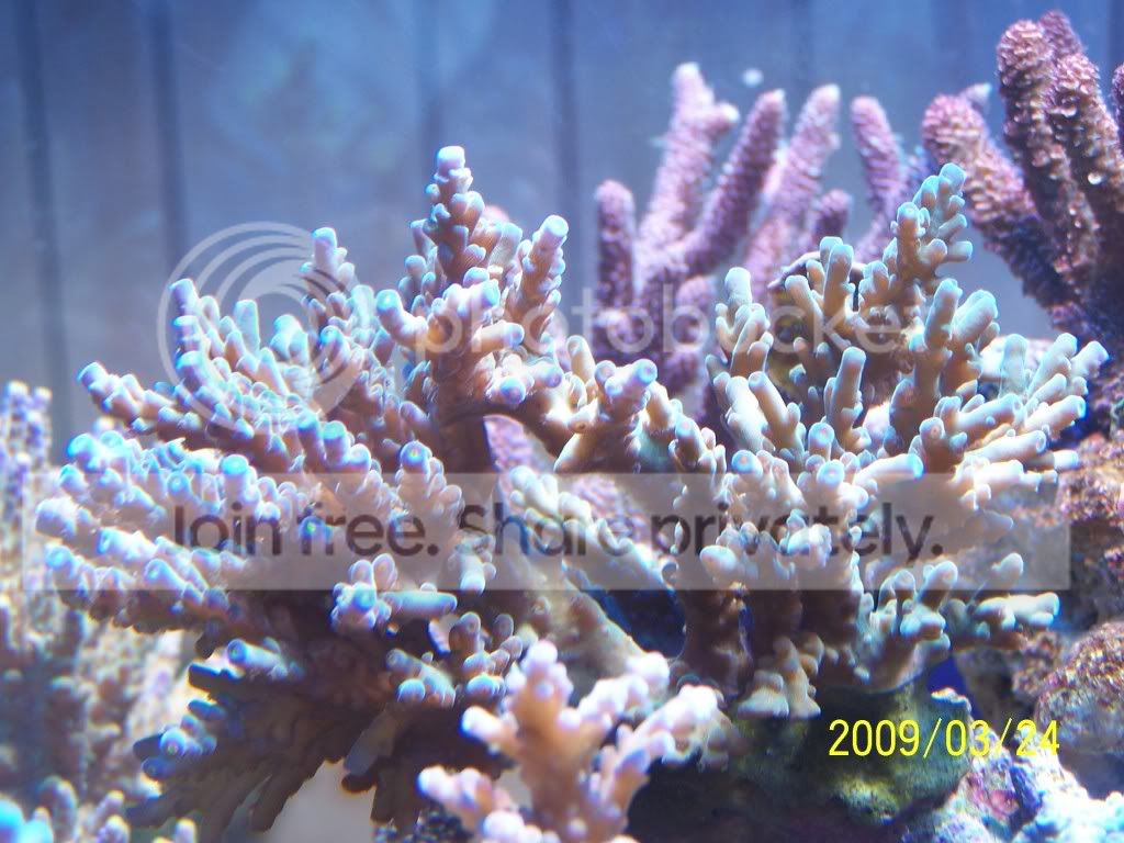 100_4965.jpg