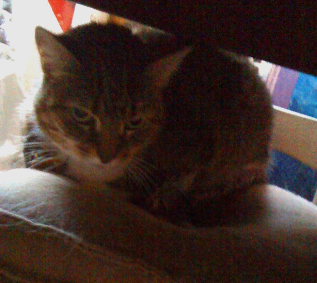 Anjelique2010.jpg