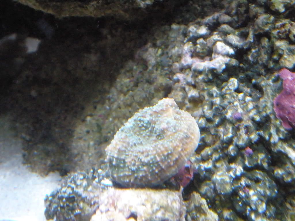 P7050024.jpg