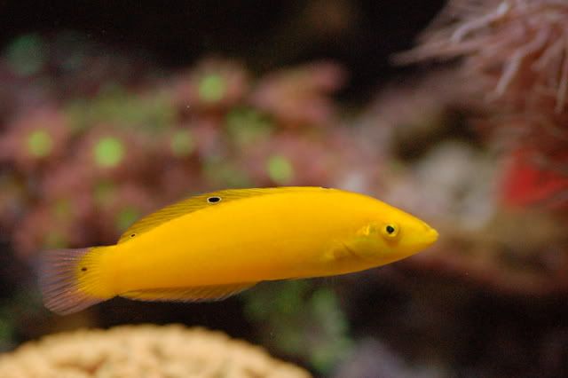 120g_022.jpg