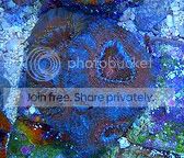 3669862044_9d16bdc48c-1-1.jpg