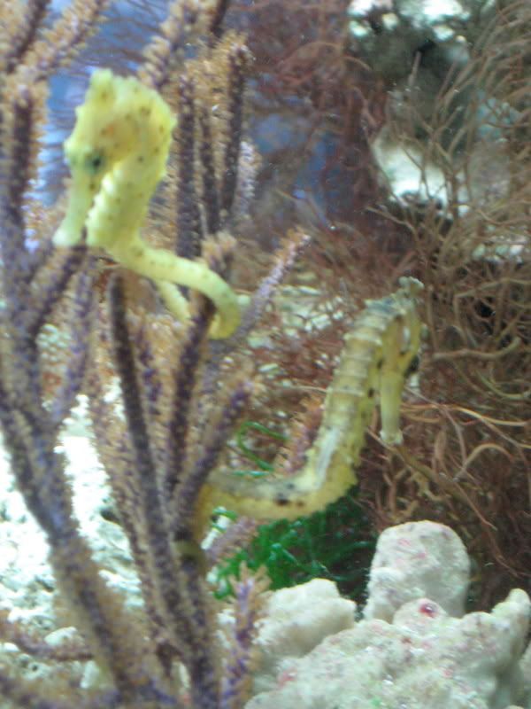 IMG_0281.jpg