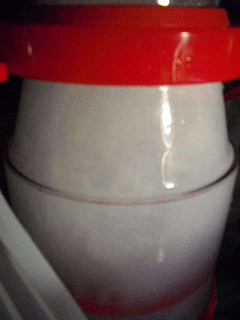 CIMG1363.jpg