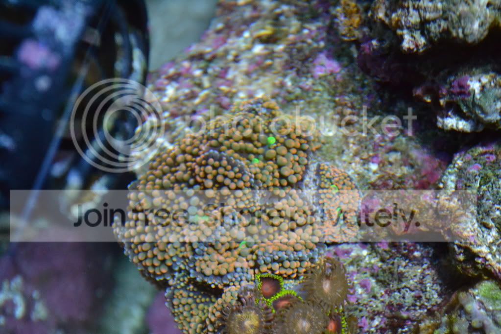 nanoforsale021.jpg