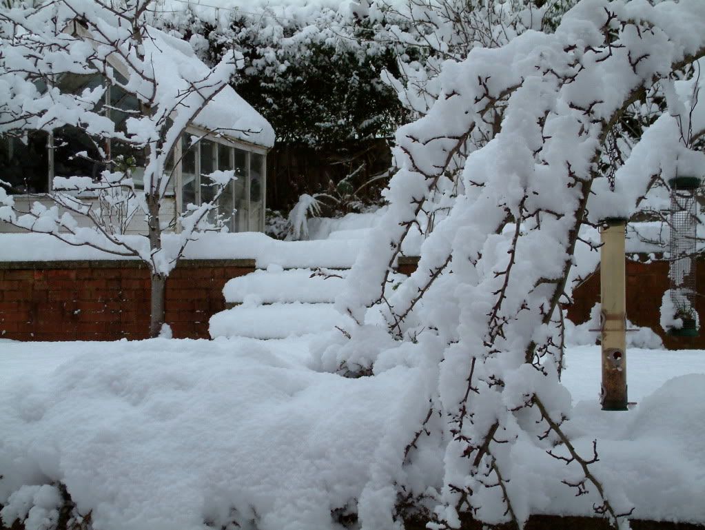 DSCF0018.jpg