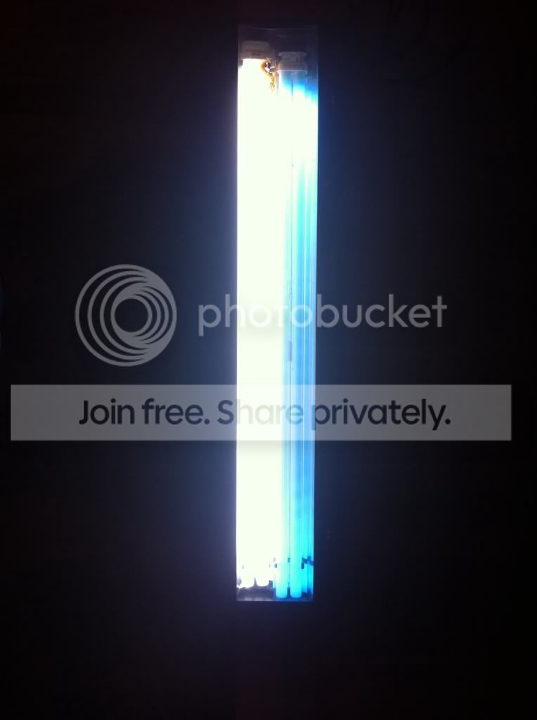null_zps19b38197.jpg