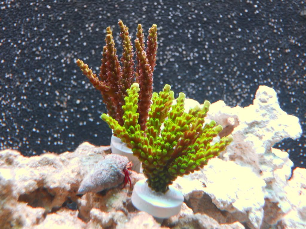 DSCN0117.jpg