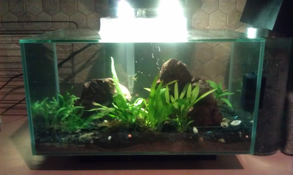 IMAG0803.jpg