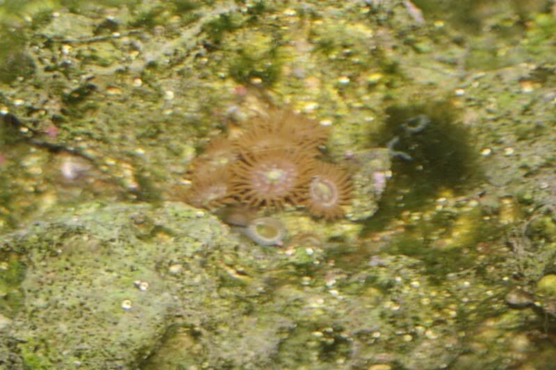 IMG_0380.jpg