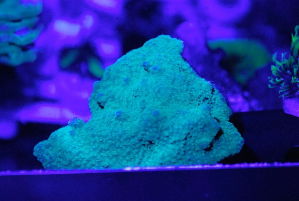kryptonite.jpg