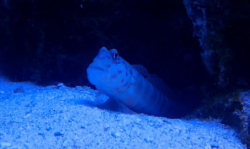 IMAG0742.jpg