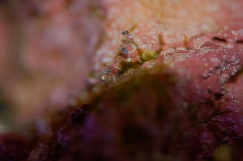 DSC_0302.jpg