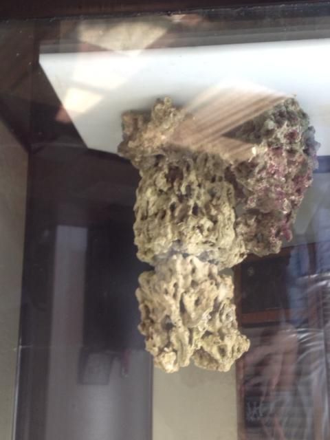 photo-3.jpg
