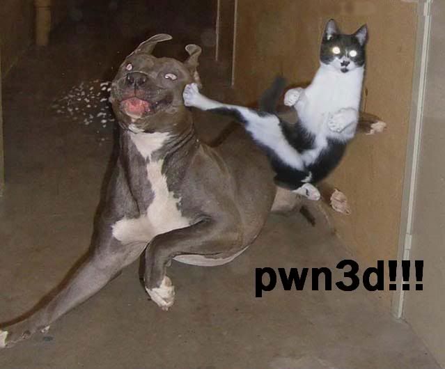 PWN3D.jpg
