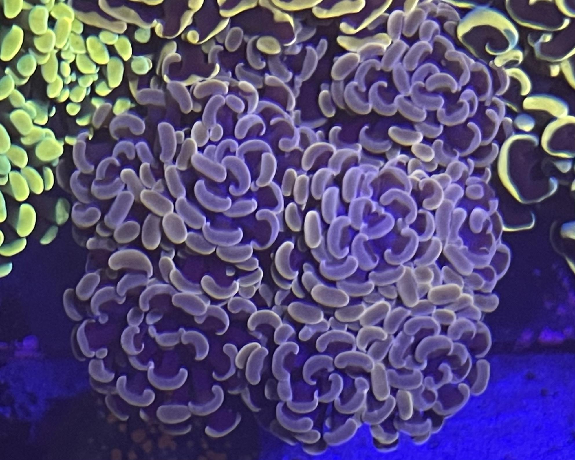 785466f0eb550aaa9547e9b1908d03f8.jpg