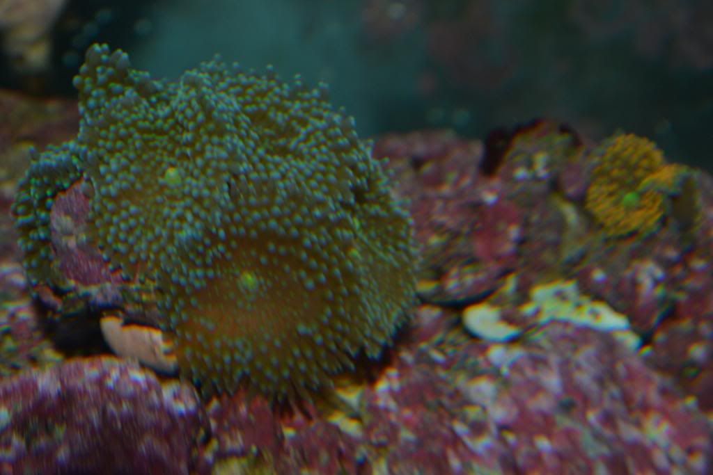 DSC_0044.jpg
