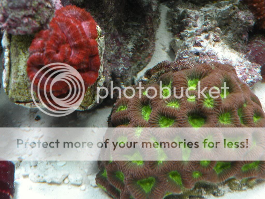 DSCN4226.jpg
