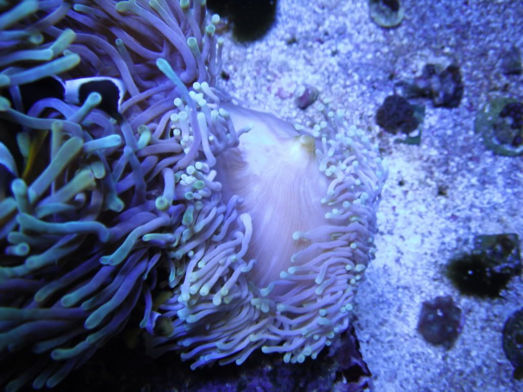 DSCF0322.jpg