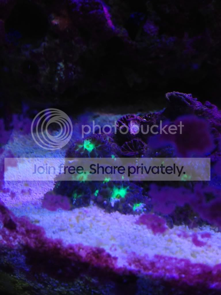 null_zpscea54400.jpg