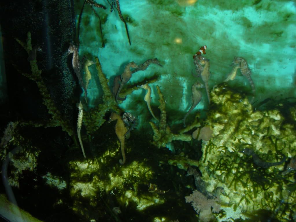 DSCN1685.jpg